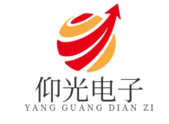 上海仰光電子科技有限公司